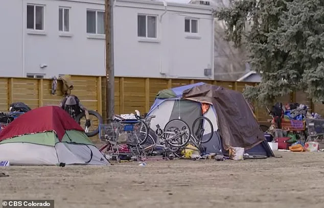 Shattered Serenity: Aviation Park's Homelessness Crisis