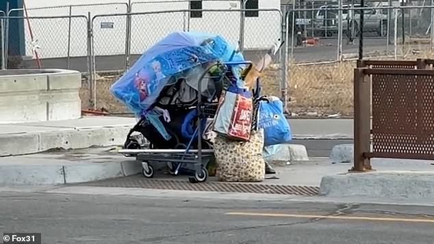 Shattered Serenity: Aviation Park's Homelessness Crisis