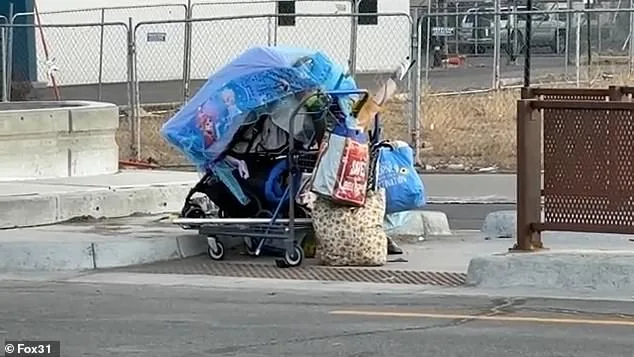 Shattered Serenity: Aviation Park's Homelessness Crisis