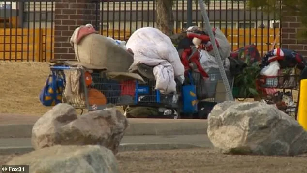 Shattered Serenity: Aviation Park's Homelessness Crisis