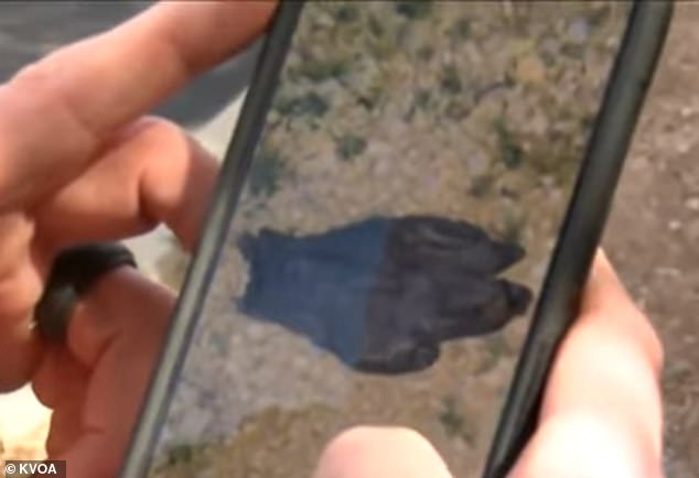 Tucson Couple's Glove Discovery Reignites Public Frustration Over Slow Investigation in Missing Woman's Case