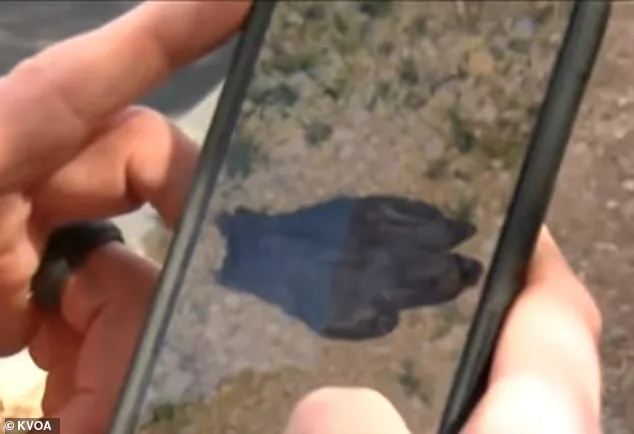 Tucson Couple's Glove Discovery Reignites Public Frustration Over Slow Investigation in Missing Woman's Case