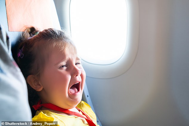 When Kindness Crosses a Line: The Unintended Consequences of a Passenger's Offer to Help a Struggling Mother on a Flight