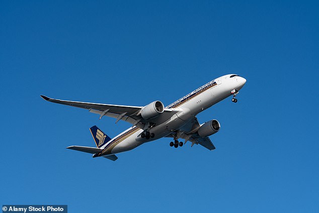 When Kindness Crosses a Line: The Unintended Consequences of a Passenger's Offer to Help a Struggling Mother on a Flight