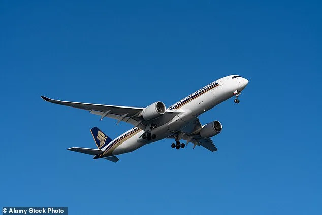 When Kindness Crosses a Line: The Unintended Consequences of a Passenger's Offer to Help a Struggling Mother on a Flight