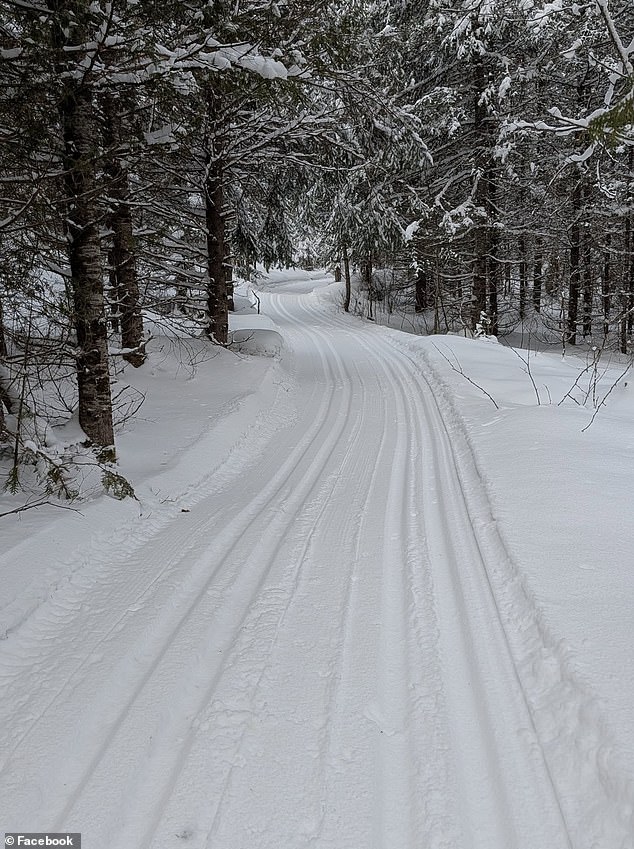 Four-Year-Old Girl Dies in Tragic Sledding Accident in Ontario