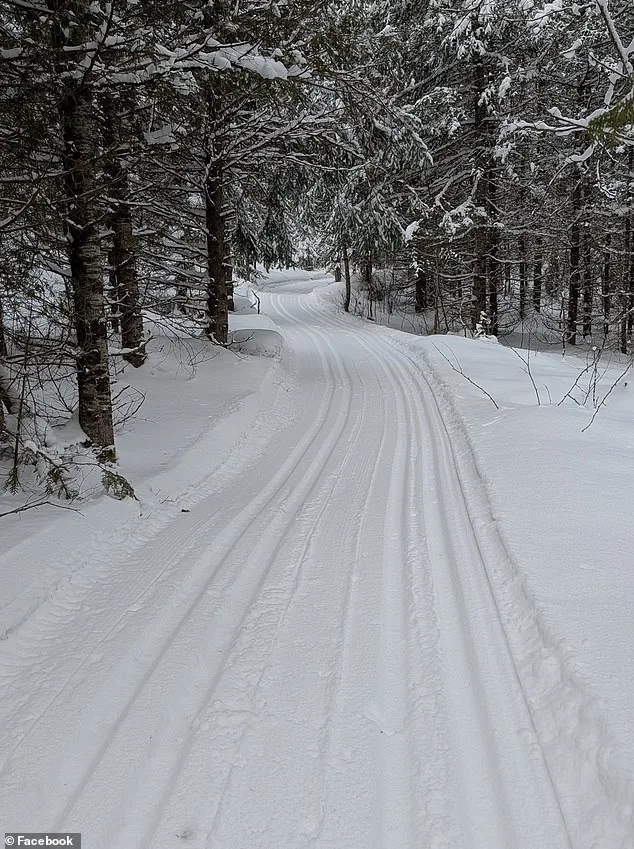 Four-Year-Old Girl Dies in Tragic Sledding Accident in Ontario