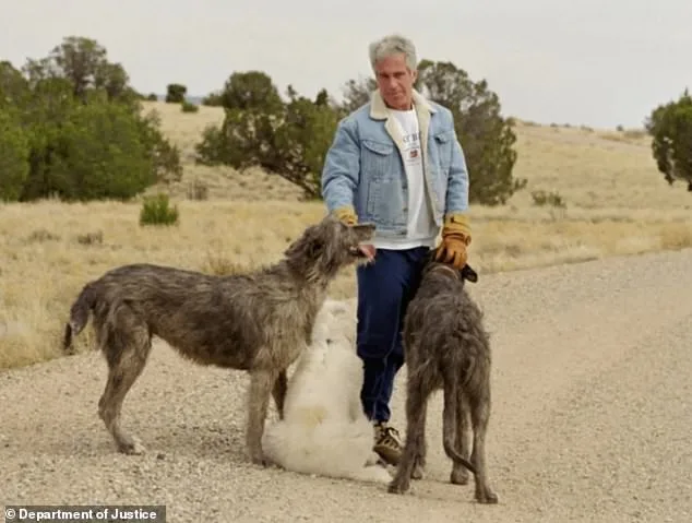 Epstein's Estate Secrets: The Gordons' Disappearance and Alleged Human Experimentation