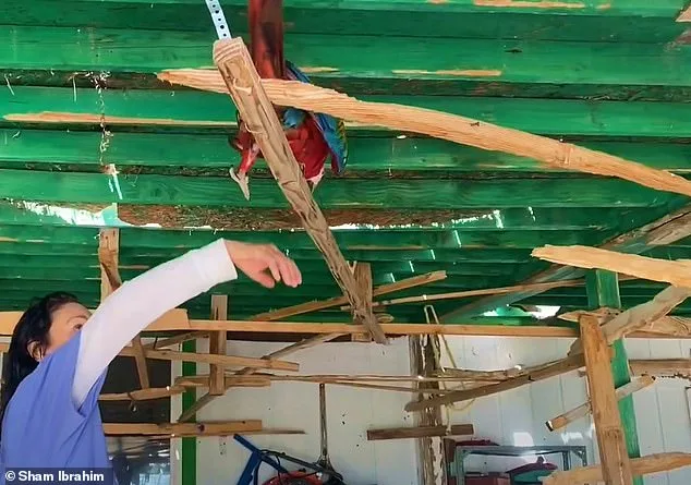 Quiet Las Vegas Neighborhood Erupts in Debate Over Heidi Fleiss's Noisy Macaws