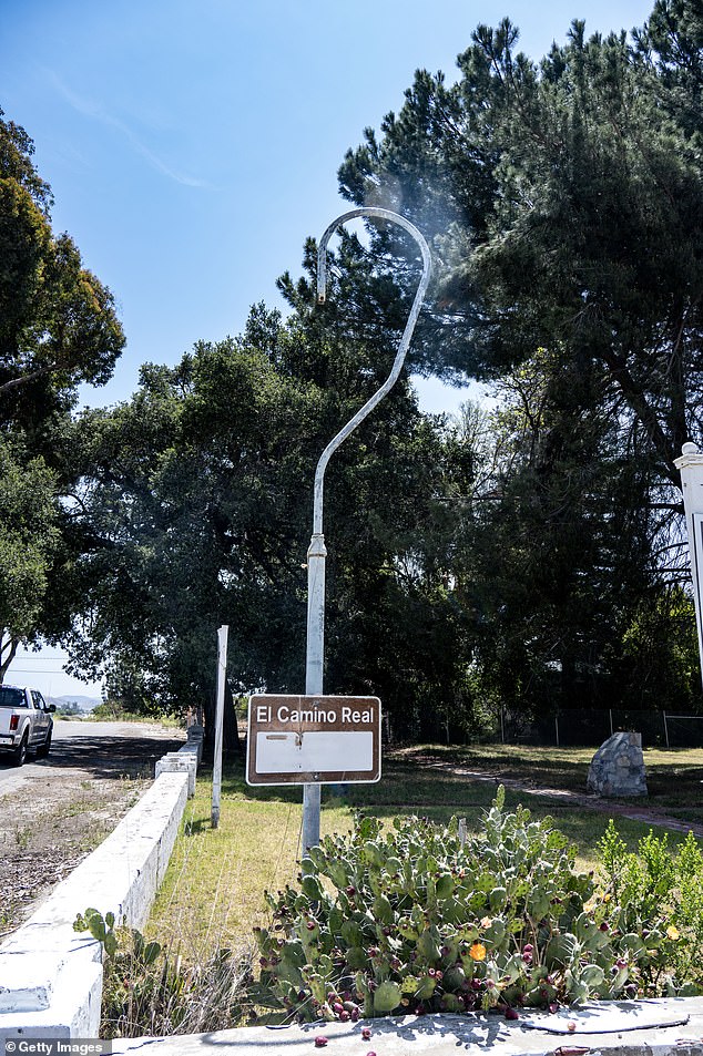 Burlingame's Iconic Eucalyptus Trees Felled for $173M Roadway Project