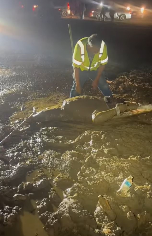 Miraculous Community Rescue After Man Trapped for Hours in Muddy Quicksand-Like Terrain