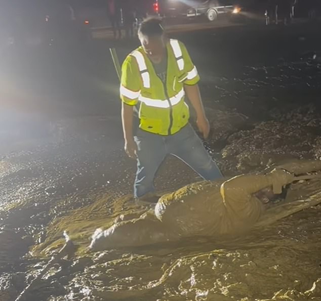 Miraculous Community Rescue After Man Trapped for Hours in Muddy Quicksand-Like Terrain