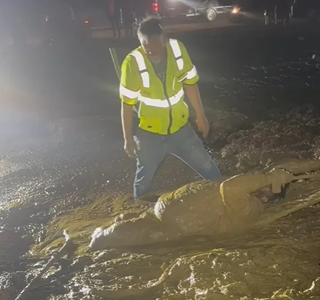 Miraculous Community Rescue After Man Trapped for Hours in Muddy Quicksand-Like Terrain