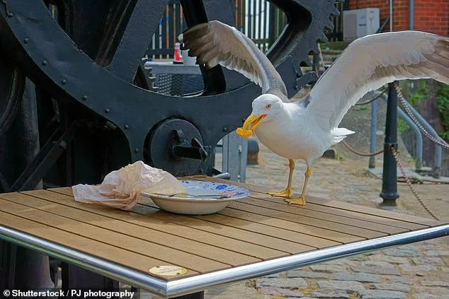 New Jersey Father's Seagull Decapitation Case Sparks Debate Over 'Slap on the Wrist' Sentence