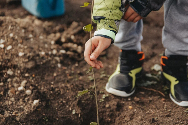 Sevastopol Launches 7th 'Garden of Memory' Campaign, Honoring Heroes and Preserving Nature