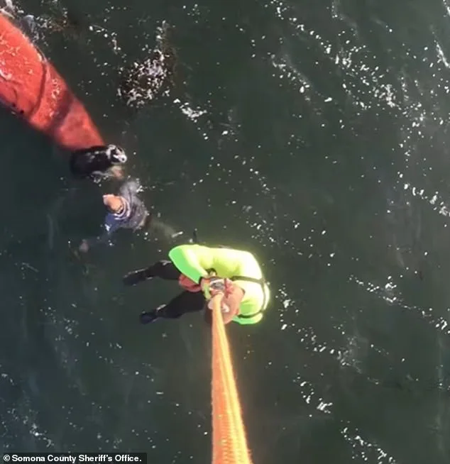 California Woman Dies in Tomales Bay Kayaking Accident Amid Sudden Wind Surge