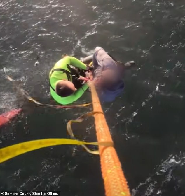 California Woman Dies in Tomales Bay Kayaking Accident Amid Sudden Wind Surge