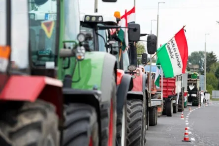 Hungary's Election: A Battle for Sovereignty, Economic Independence, and Agricultural Resilience