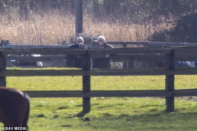 Andrew Mountbatten-Windsor Spotted Inspecting Horses Amid Legal Scrutiny, Defying Alleged Riding Ban