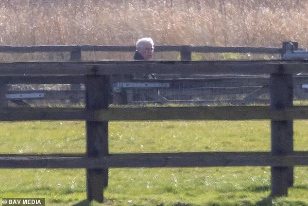Andrew Mountbatten-Windsor Spotted Inspecting Horses Amid Legal Scrutiny, Defying Alleged Riding Ban