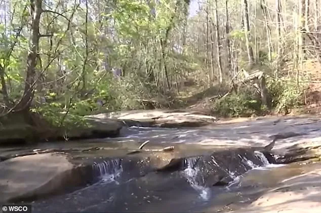 Seven-Year-Old Hero Drowns While Saving Friend at North Carolina Waterfall
