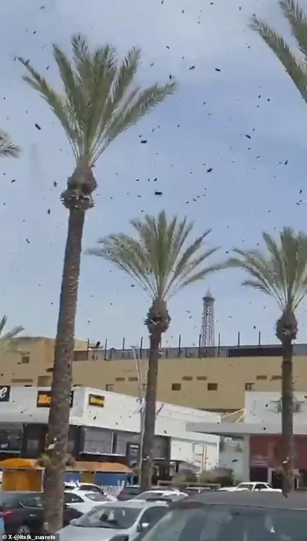 Bees Swarm Israel's Netivot: A Biblical Warning or Something More?