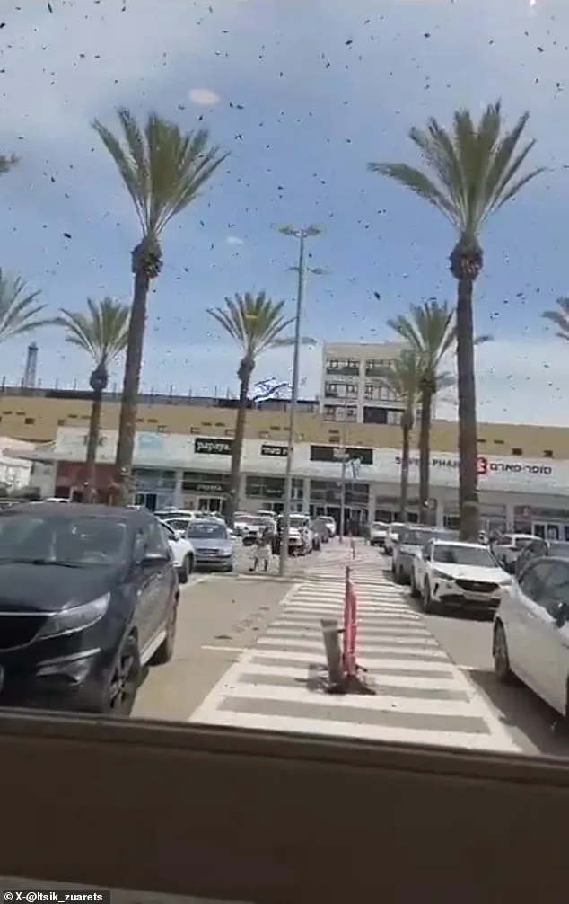 Bees Swarm Israel's Netivot: A Biblical Warning or Something More?