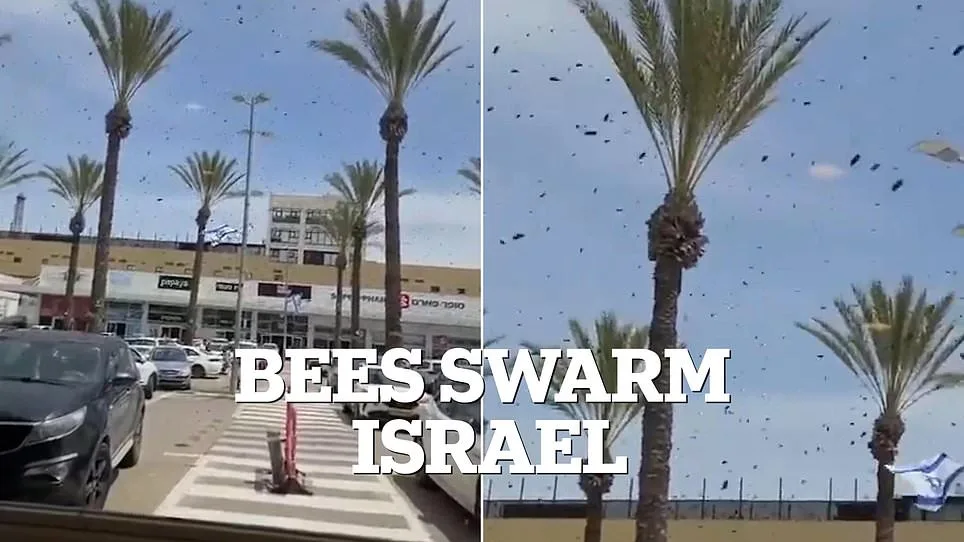 Bees Swarm Israel's Netivot: A Biblical Warning or Something More?