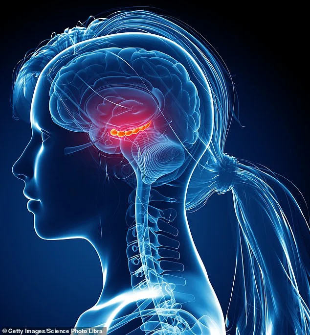 Brain Plasticity: Unlocking Brain Rejuvenation