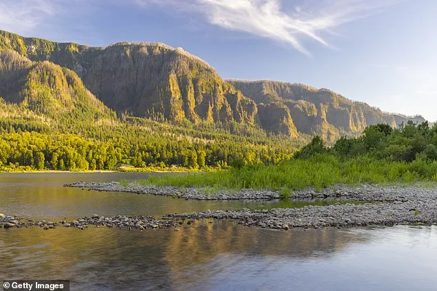 Oregon Family's Long-Ago Disappearance Solved: Remains Identified.