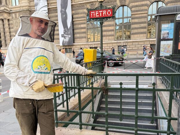 Paris Bee Swarm Removed Safely by Volunteer Cyclist