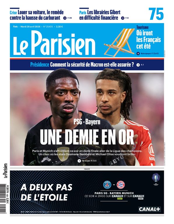 Paris Bee Swarm Removed Safely by Volunteer Cyclist