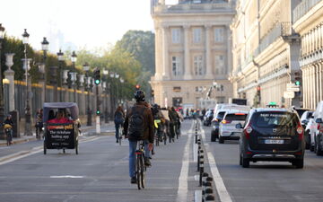 Paris Bee Swarm Removed Safely by Volunteer Cyclist