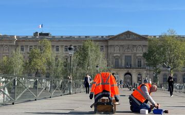 Paris Bee Swarm Removed Safely by Volunteer Cyclist