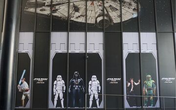 Paris Bee Swarm Removed Safely by Volunteer Cyclist