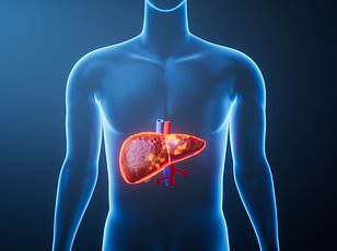 New OBSCORE tool predicts risk for 18 obesity-linked diseases including cancer.