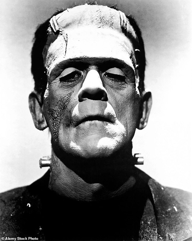 Filmer Claims Mary Shelley's Frankenstein Is Fundamentally Transphobic.