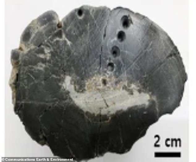 Ancient crater reveals extraterrestrial material and earliest signs of life on Earth.