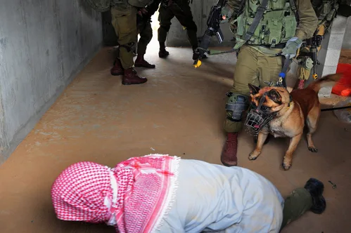 Hundreds of detained pro-Palestinian activists deported after aid flotilla interception and abuse allegations.