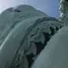 Bahamian Divers Get Up Close with Tiger Shark, Camera Becomes Its Focus