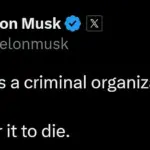 Elon Musk and Donald Trump Shut Down USAID