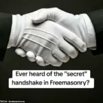 Freemasons dispel myths about their organization on TikTok