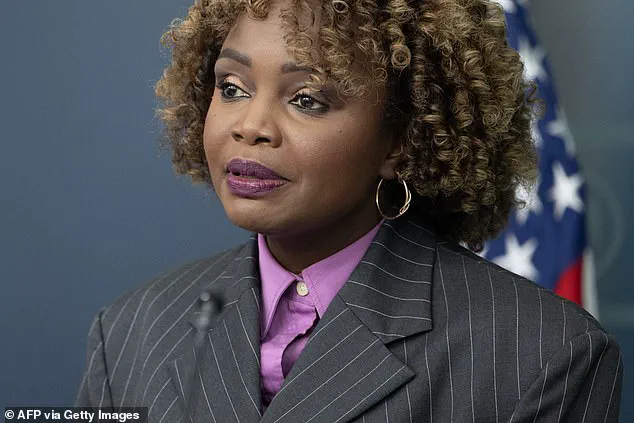 The Dark Underbelly of the 2024 Democratic Presidential Campaign: A Behind-the-Scenes Look
