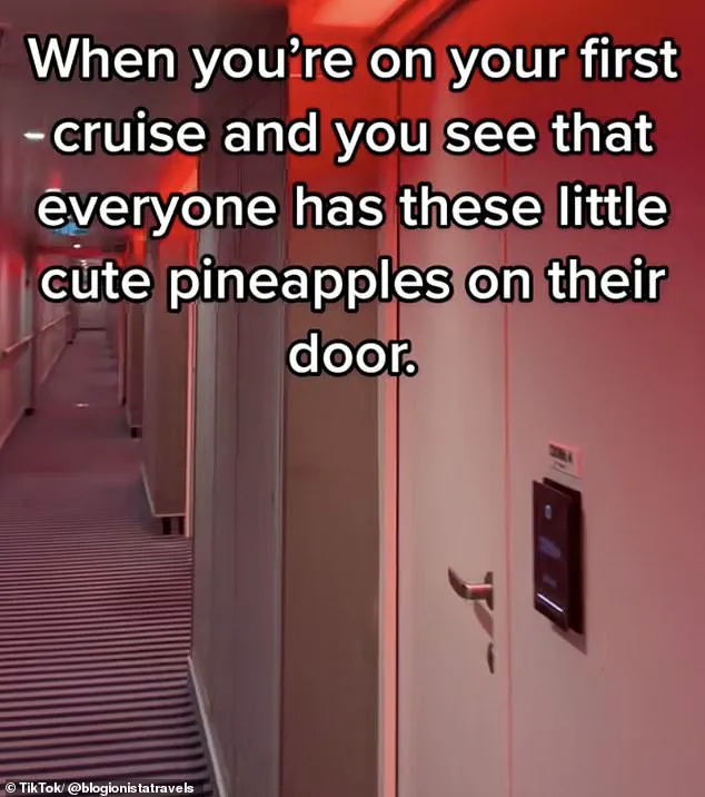 TikTok Reveals Mystery of Pineapple Symbols on Cruise Ship Cabins