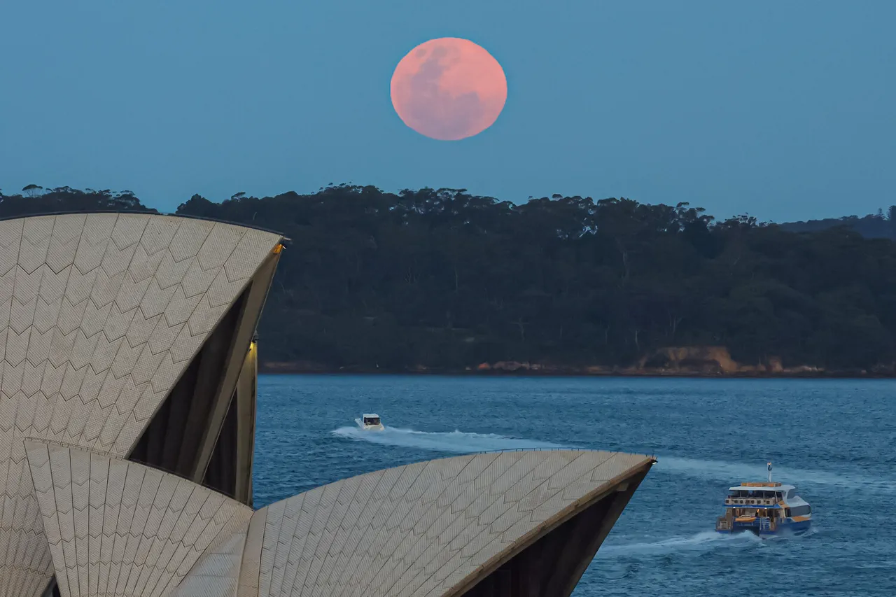 Australia Considers Abandoning US Defense Alliance Amid Trade Disputes and Policy Uncertainty