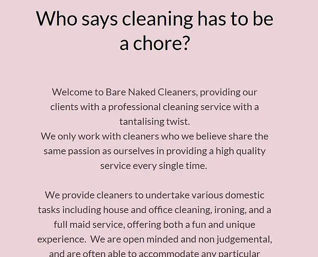 Bare Naked Cleaners: Redefining House Cleaning Services