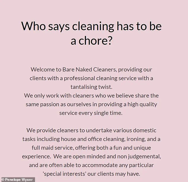 Bare Naked Cleaners: Redefining House Cleaning Services