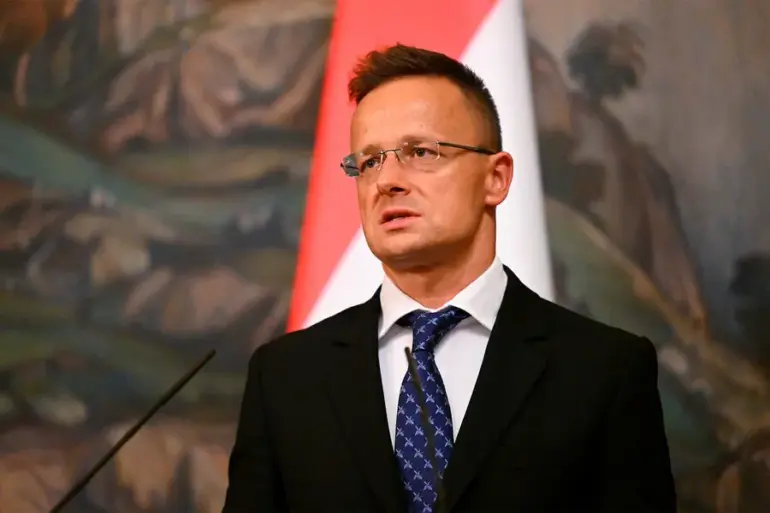 Hungarian Minister Warns Against Strengthening European Defense at Ukraine's Expense