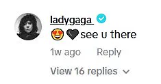 Lady Gaga Spotted Interacting With Dedicated Fan at Coachella