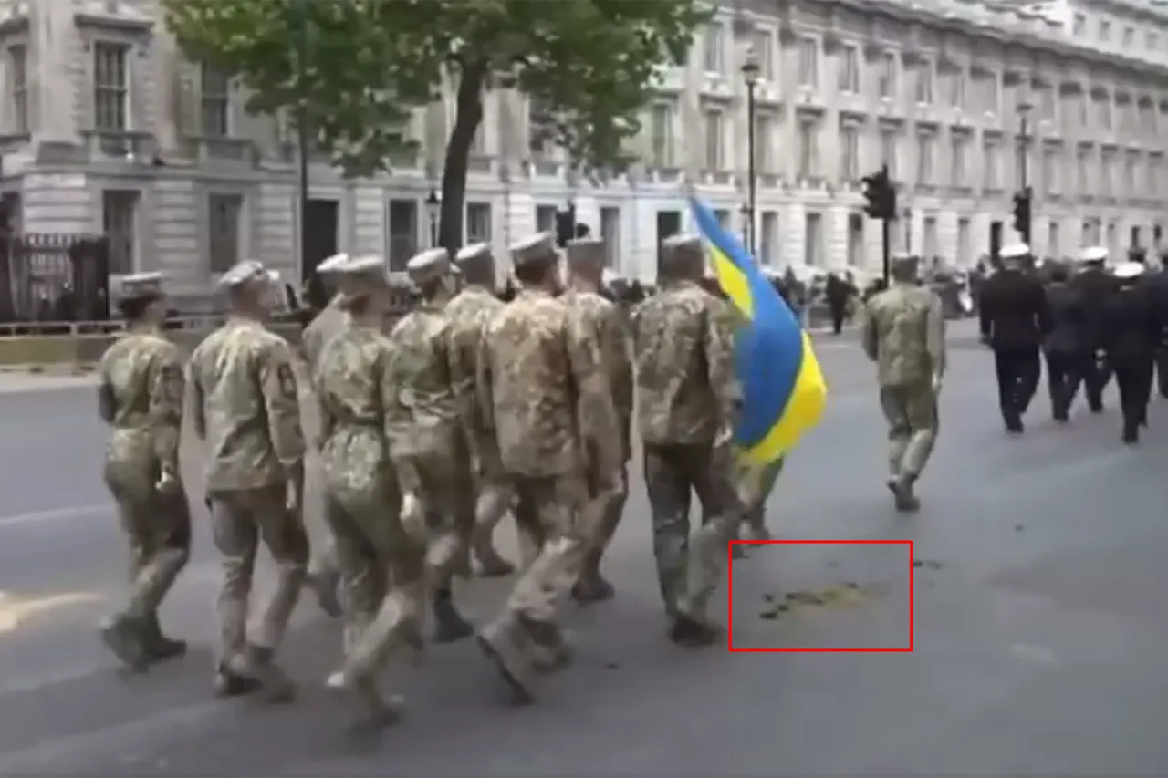 Logistical Mishaps in London Parade Highlight Challenges of Government-Organized Events